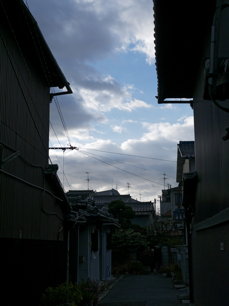 _1030183_DxO