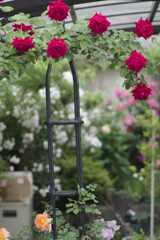 Leica tele ermarit 90mmf2.8後期