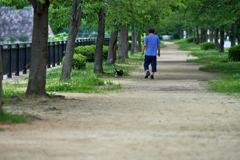 DSC06601