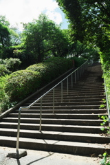 DSC02088