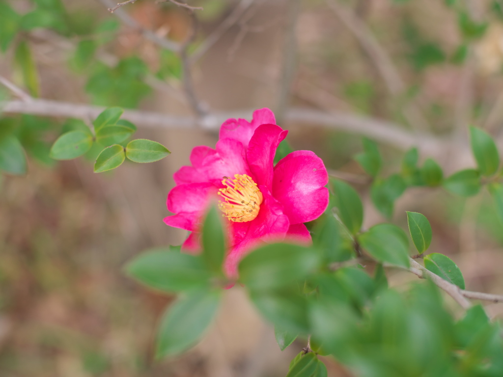 P1051606