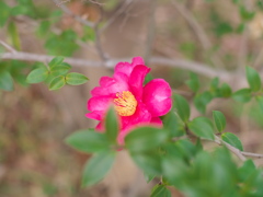 P1051606