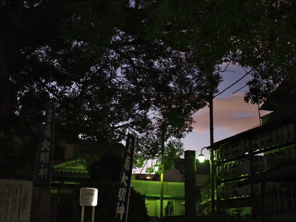 P1051271