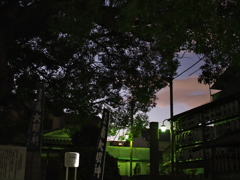 P1051271