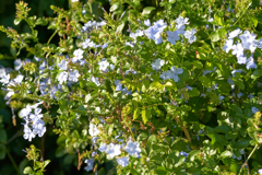 DSC03344b