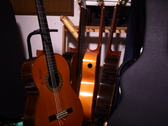 P1050394