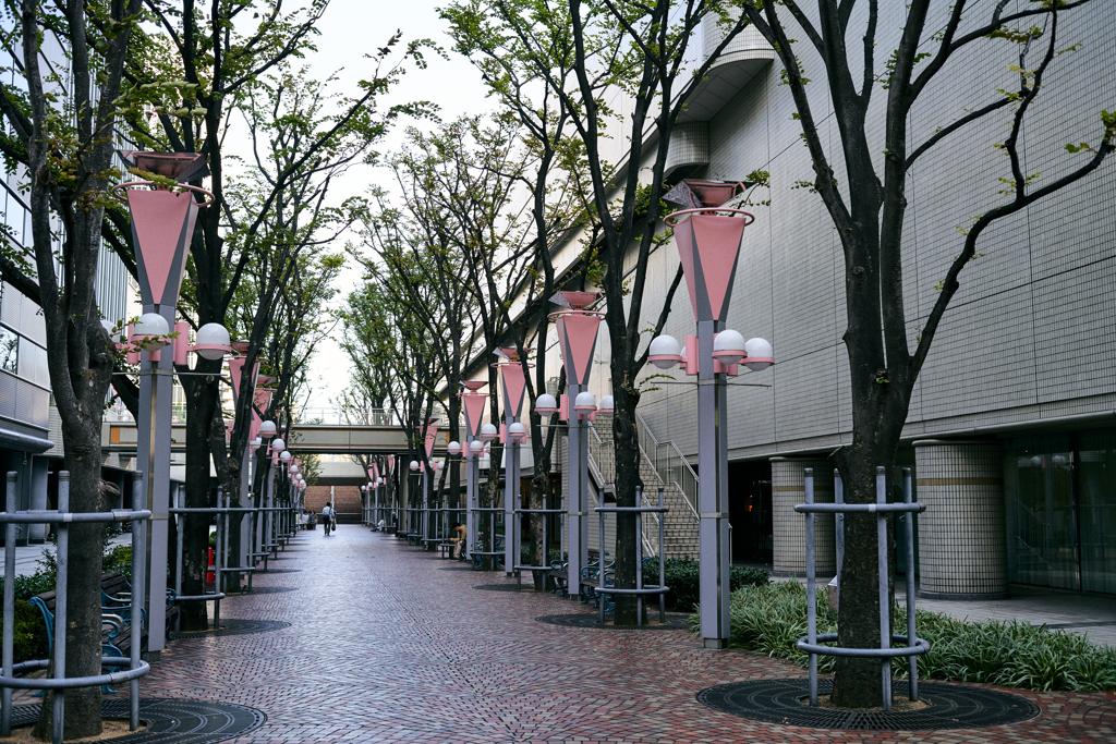 DSC04046