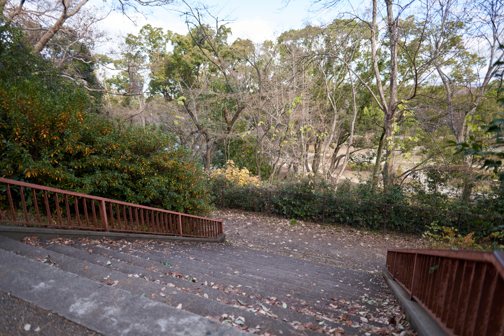 DSC04644