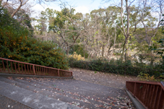 DSC04644