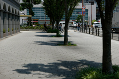 P1000603_DxO