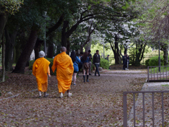 _G9P4650_DxO