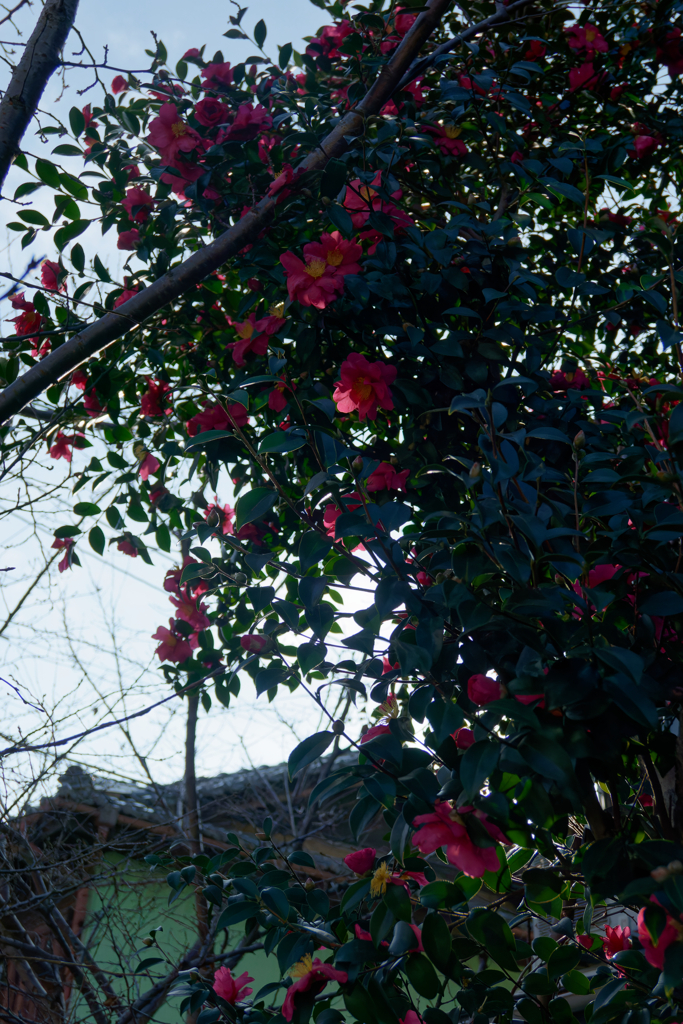 P1050174_DxO