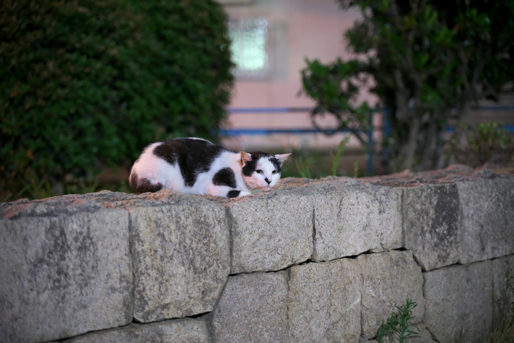 DSC01196