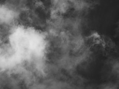 拡大すると・・・