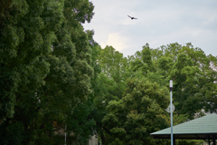 DSC06345