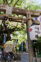 太陽の季節