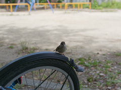 _1000820_DxO