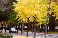 DSC04404