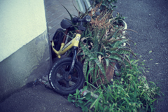 DSC02391