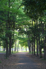 DSC01008