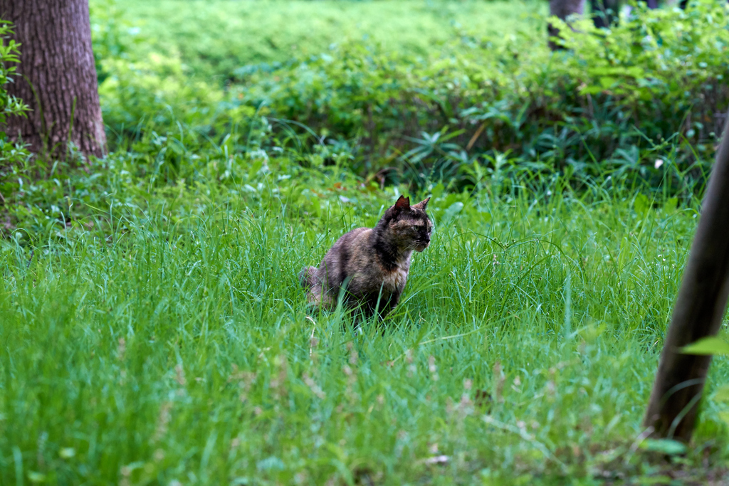 DSC06630