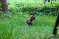 DSC06630