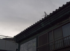 _1100924_DxO