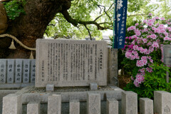 P1011004_DxO
