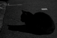P1012235_DxO