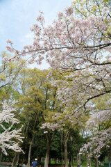 7R308973_DxO
