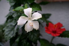 DSC00067