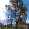 P1078244