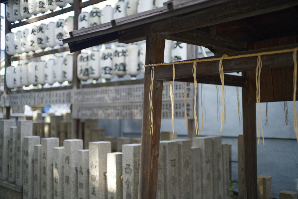 _A7C3874_DxO