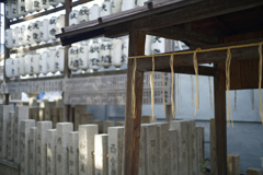_A7C3874_DxO