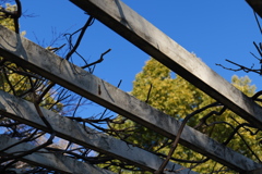 P1000303