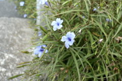 P1020032