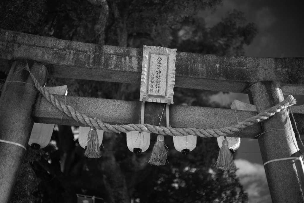 _A7C3752_DxO