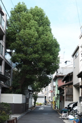 P1030656