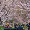 P1077932