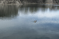 _DSC3068_DxO