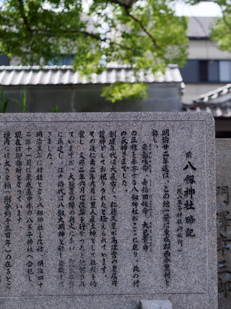 P1060862_DxO