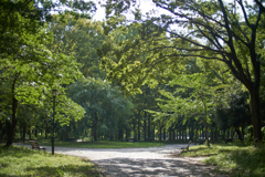 DSC02560