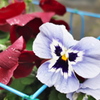 P1010354