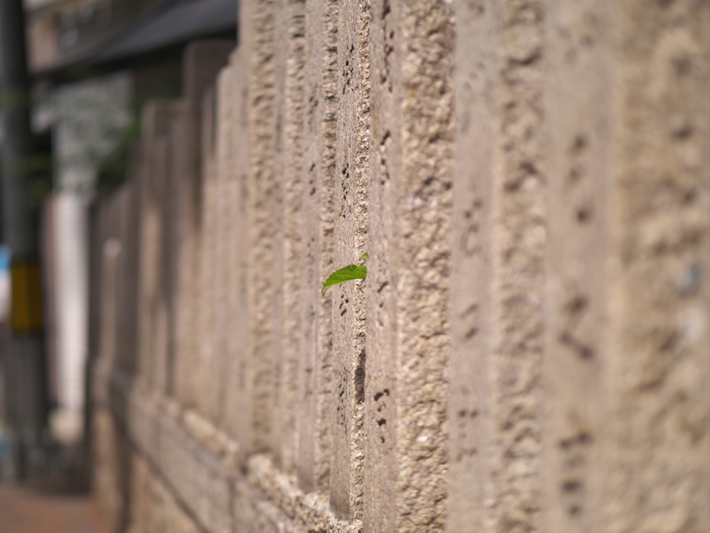 P1053041