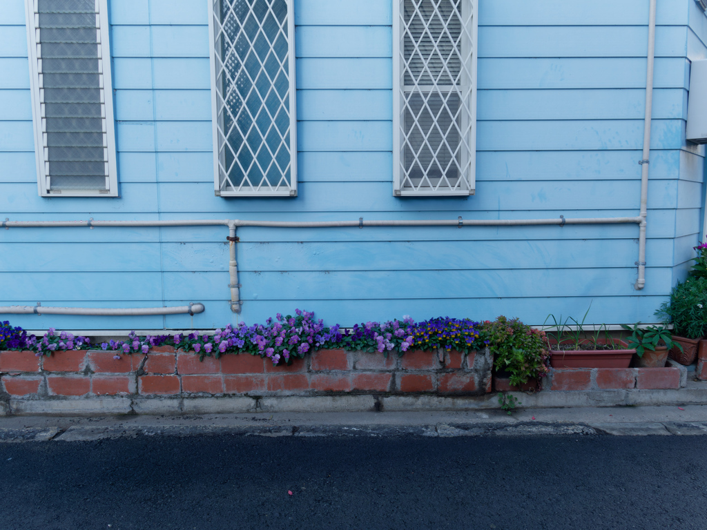 P1040276_DxO