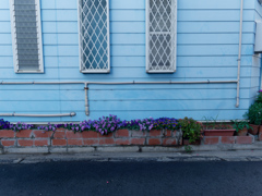 P1040276_DxO
