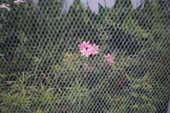 うっかりjpg