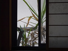 _1070072_DxO