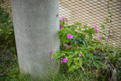 DSC02407