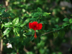 P1082344